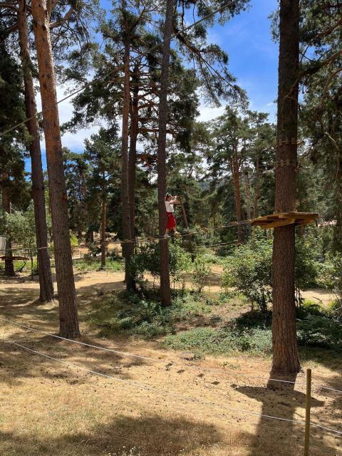 Madrid: Zip Line Circuits in the Height of the Trees - Enjoy Aerial Adventures in Madrid