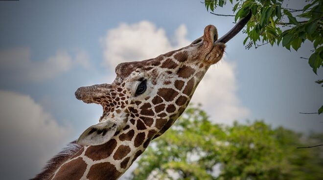 Madrid: Zoo Aquarium Madrid Ticket - Review 1