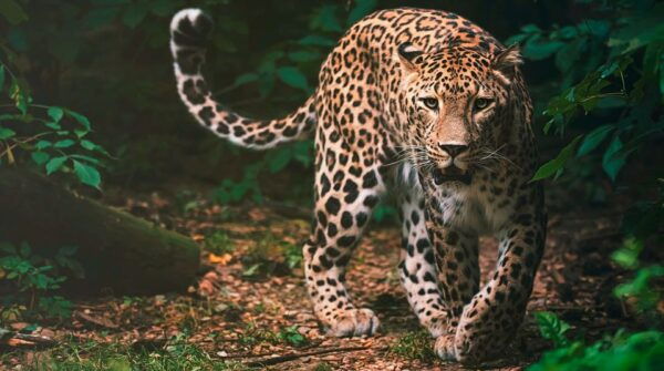 Madrid: Zoo Aquarium Madrid Ticket - Visitor Feedback
