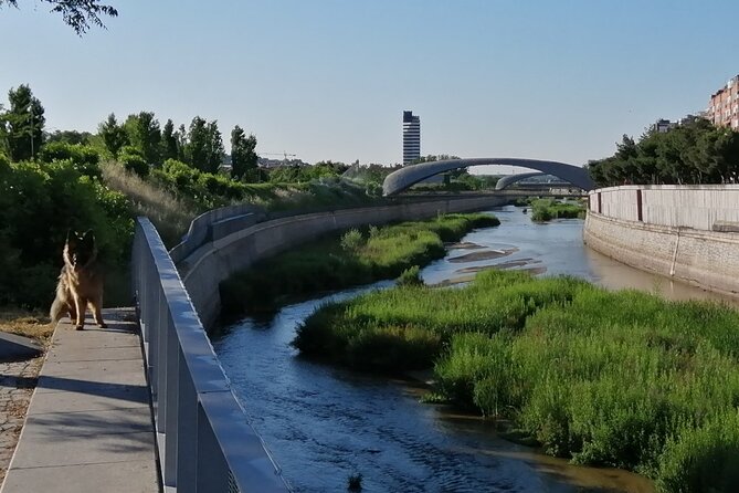 Madrid'S Golden Age: History Along the Manzanares River - Historical Significance of Manzanares River