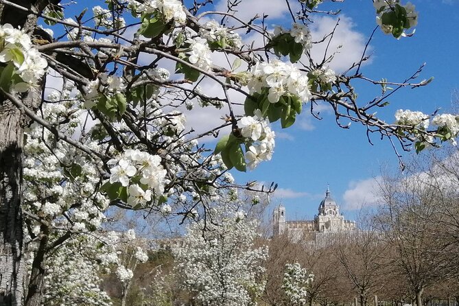 Madrid'S Golden Age: History Along the Manzanares River - Transformation Over the Centuries