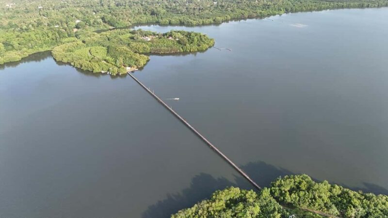 Madu River Boat Cruise & Cinnamon Garden All Inclusive Tour - Exploring the Madu River Wetlands
