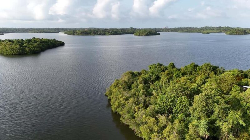 Madu River Boat Cruise & Cinnamon Garden All Inclusive Tour - What Reviewers Say