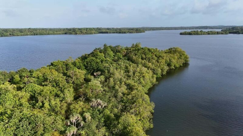 Madu River Boat Cruise & Cinnamon Garden All Inclusive Tour - Who Is This Tour Best For?