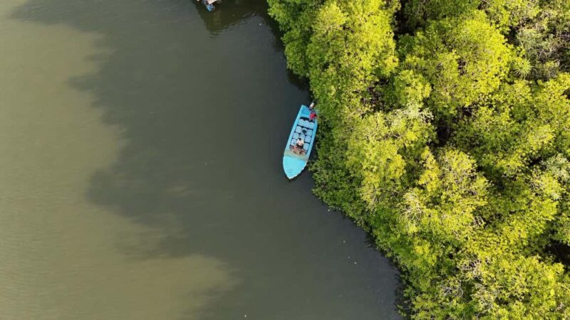 Madu River Boat Cruise & Cinnamon Garden All Inclusive Tour - Who Will Love This Tour?