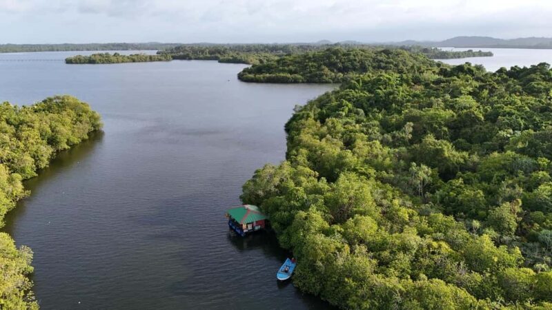 Madu River Boat Cruise & Cinnamon Garden All Inclusive Tour - Final Thoughts