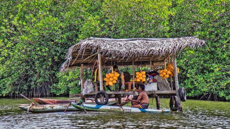 Madu River Boat Safari - Optional Activities: Fish Massage and More