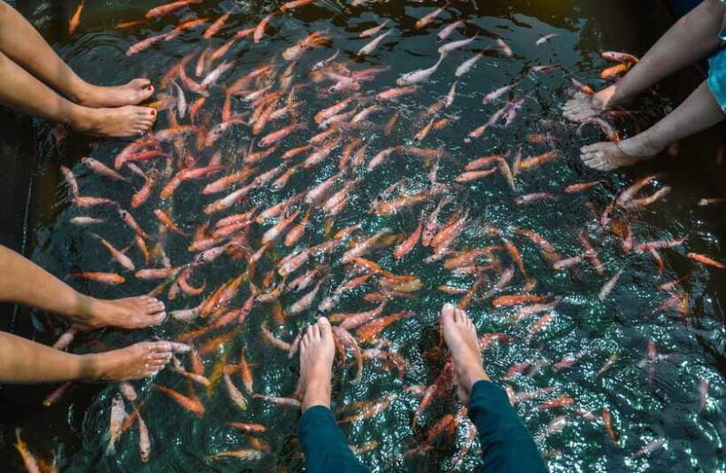 Madu River Boat Safari - The End of the Tour: Returning to the Starting Point