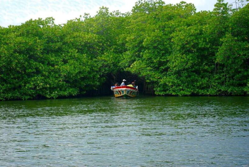 Madu River Boat Safari: A Journey Through Nature's Paradise - Good To Know