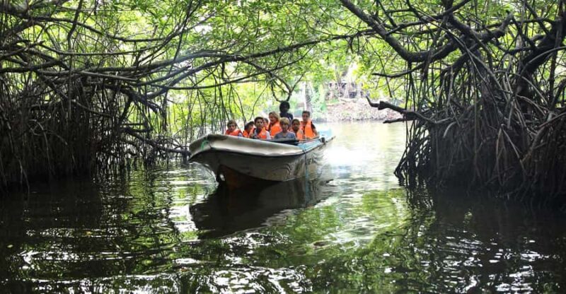 Madu River Boat Safari and Tuk-Tuk Tour Pickup & Drop-off - Introduction: An Authentic Taste of Sri Lanka’s South