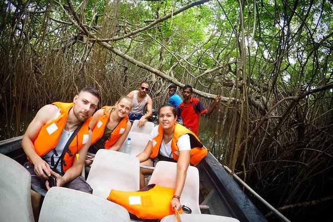 Madu River Boat Safari Balapitiya - Reviews and Ratings of the Experience