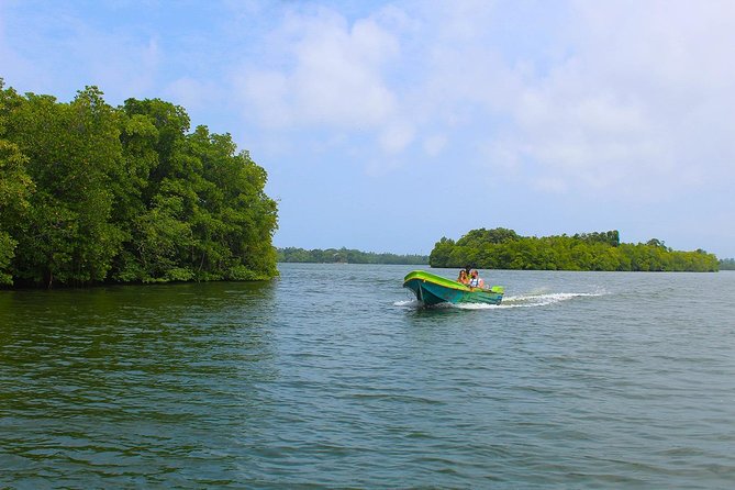 Madu River Boat Safari Balapitiya - Contact and Support for the Boat Safari