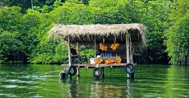 Madu River Boat Safari From Colombo Port Passenger Terminal. - Natural Features and Geography