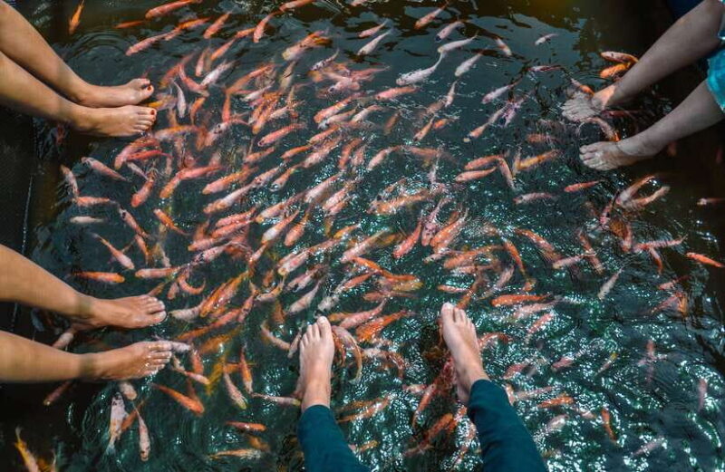 Madu River Boat Safari - Why This Tour Is a Great Choice