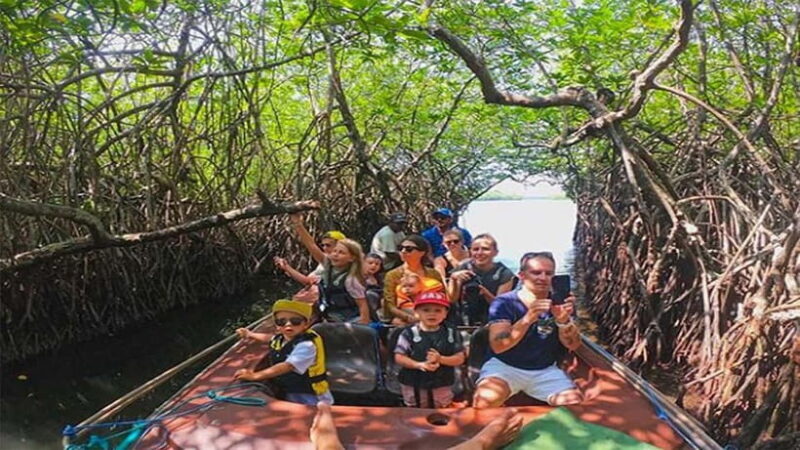 Madu River Boat Tour and Cinnamon Garden visit - Discovering the Madu River Boat Tour and Cinnamon Garden Visit