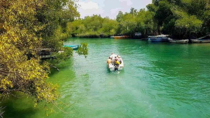 Madu River Boat Tour and Cinnamon Garden visit - Good To Know