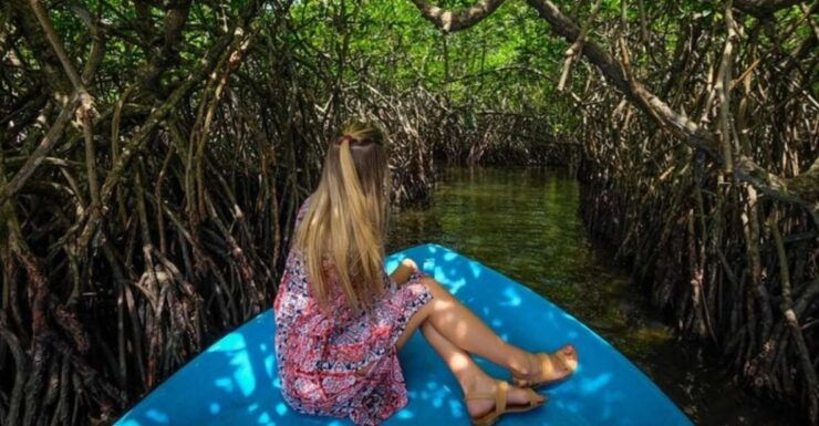 Madu River Safari and Turtle Farm Tour From Colombo - Free Cancellation and Flexible Travel Plans