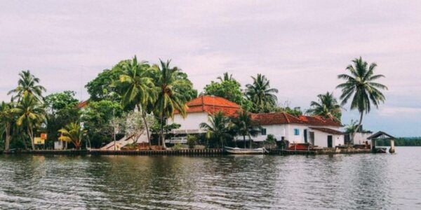 Madu River Safari and Turtle Farm Tour From Colombo - Capturing Remarkable Snapshots of Nature