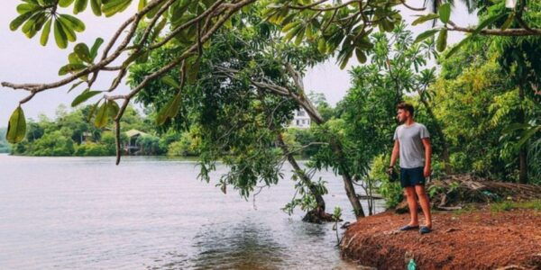 Madu River Safari and Turtle Farm Tour From Colombo - Additional Information and Recommendations