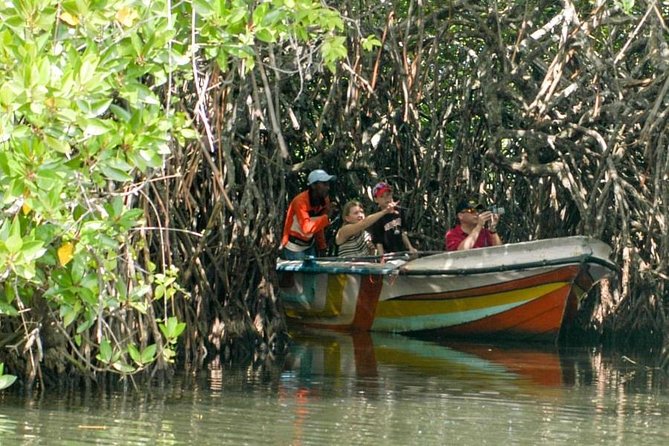 Madu River Safari at Balapitiya - Inclusions and Highlights