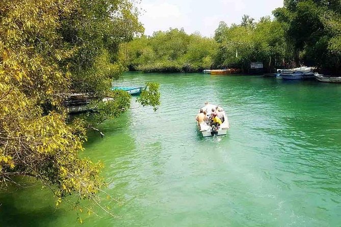Madu River Safari at Balapitiya - Important Guidelines and Restrictions