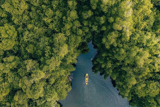 Madu River Sunrise Mangrove Kayaking - Included Amenities