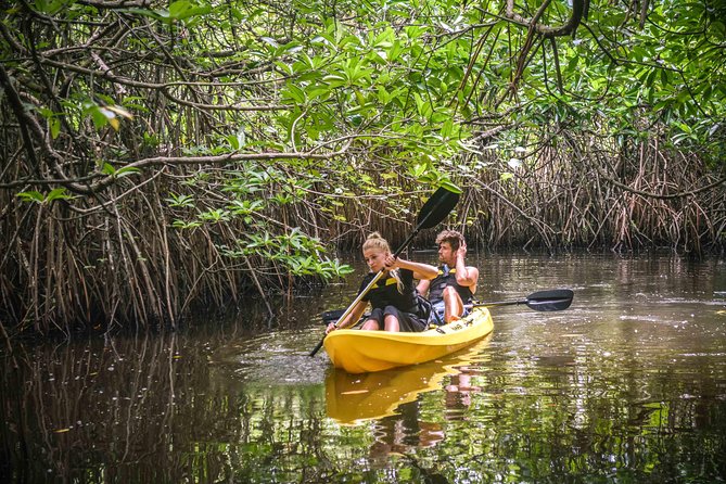 Madu River Sunrise Mangrove Kayaking - Directions