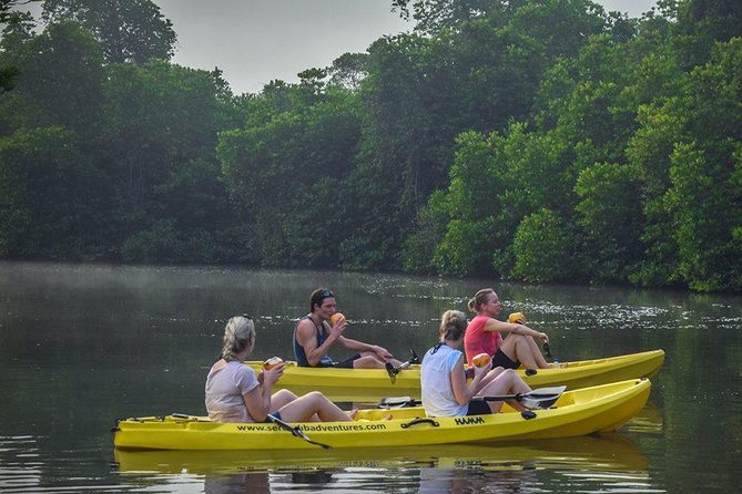 Madu River Sunrise Mangrove Kayaking From Bentota - Additional Information