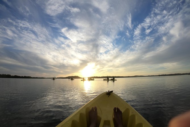 Madu River Sunrise Mangrove Kayaking From Bentota - Tips for a Memorable Experience