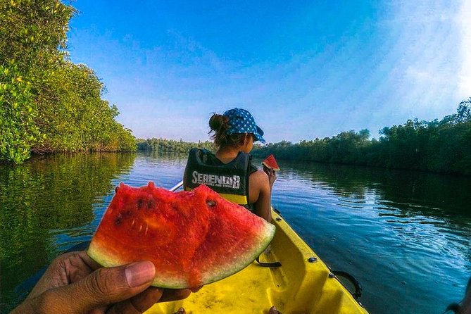 Madu River Sunrise Mangrove Kayaking From Colombo - Activity Details