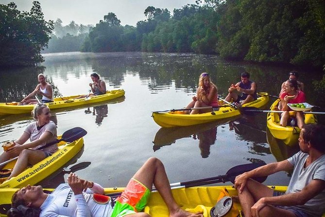 Madu River Sunrise Mangrove Kayaking From Colombo - Pickup and Pricing