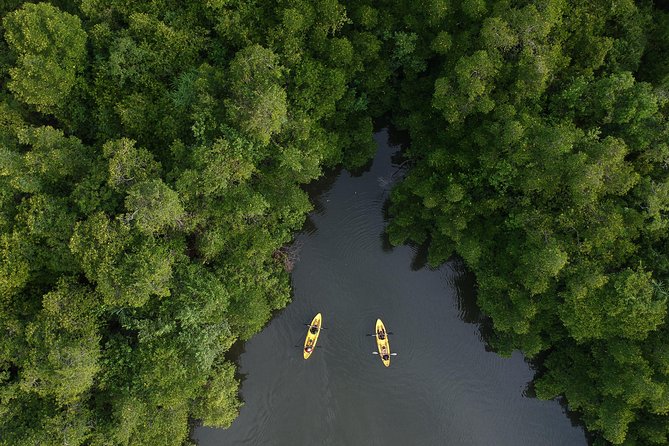 Madu River Sunrise Mangrove Kayaking From Colombo - Reviews and Ratings
