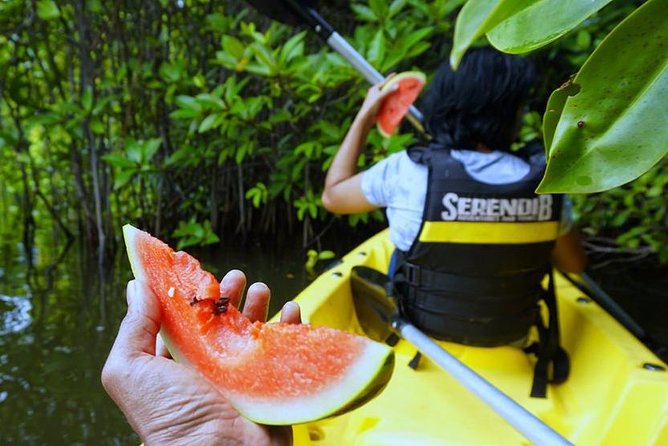 Madu River Sunrise Mangrove Kayaking From Colombo - Itinerary