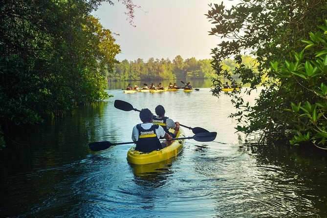 Madu River Sunrise Mangrove Kayaking From Colombo - Common Questions