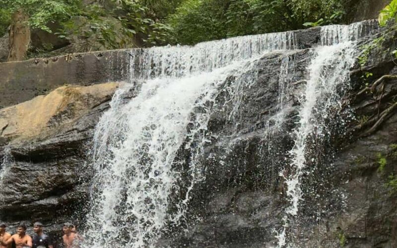 Madurai to Grapes Garden, Vaigai Dam & Suruli Falls Day Tour - Authentic Experiences and Hidden Gems