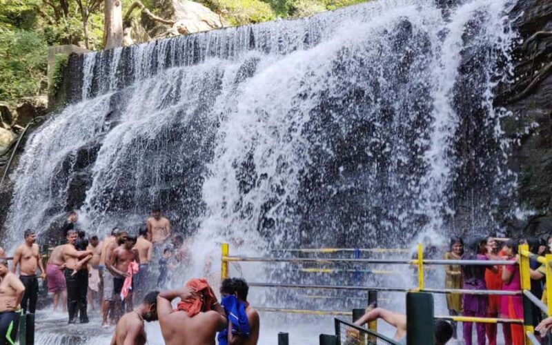 Madurai to Grapes Garden, Vaigai Dam & Suruli Falls Day Tour - Good To Know