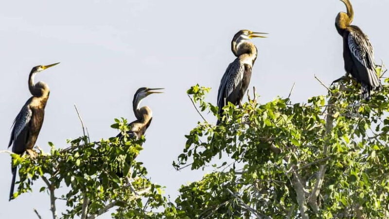 Maduru Oya National Park Private Safari - Good To Know