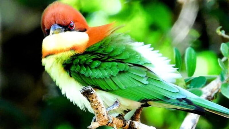 Maduru Oya National Park Private Safari - The Experiences Pace and Flexibility