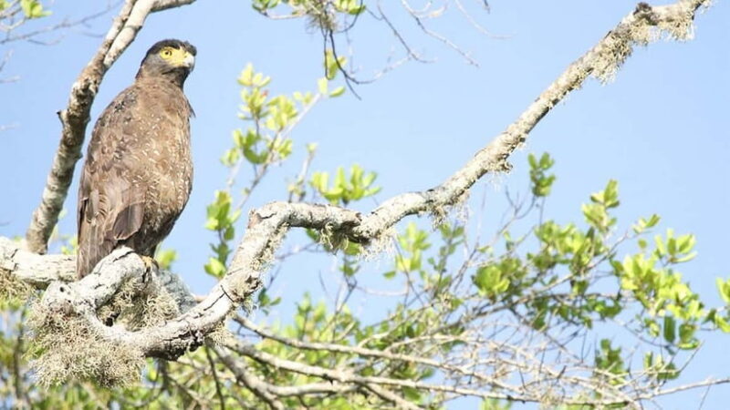 Maduru Oya National Park Private Safari - FAQ