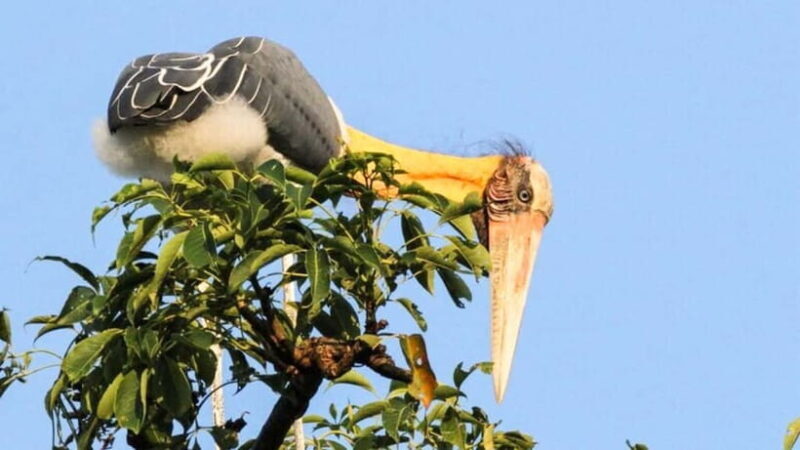 Maduru Oya National Park Private Safari - Frequently Asked Questions