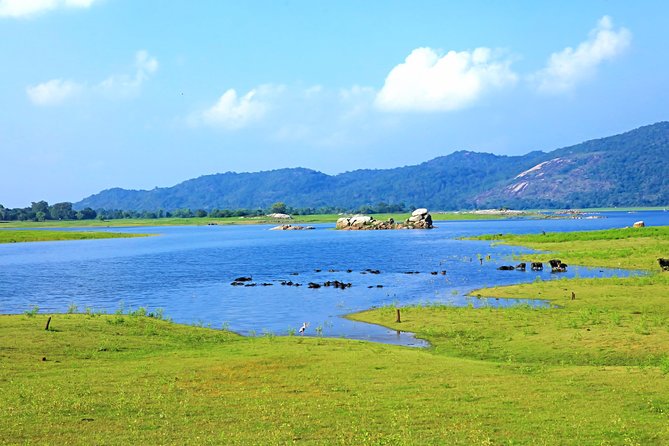 Maduru Oya National Park Private Safari - Overview of Maduru Oya National Park