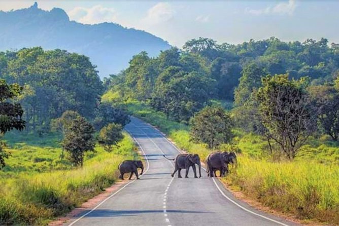 Maduru Oya National Park Private Safari - Additional Information and Requirements