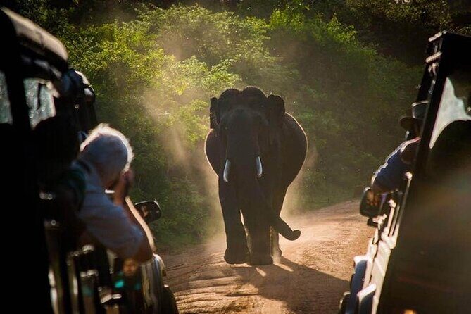 Maduru Oya Safari and Indigenous Village Day Trip from Pasikuda - Exploring the Tour Itinerary