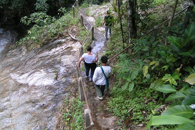 Mae Kham Pong Village Experience - Village Tour and Thai Cooking Class