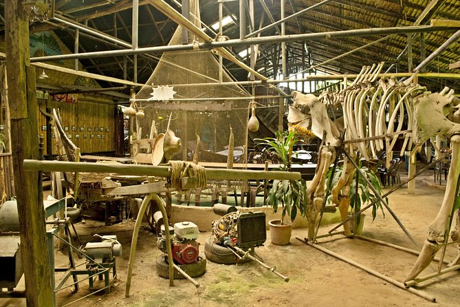 Mae Ping River Boat Ride From Chiang Mai With Lunch - Overview and Inclusions