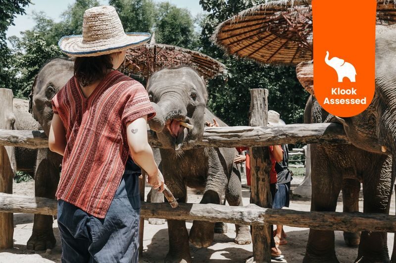 Maerim Elephant Home Chiang Mai - What to know before you book