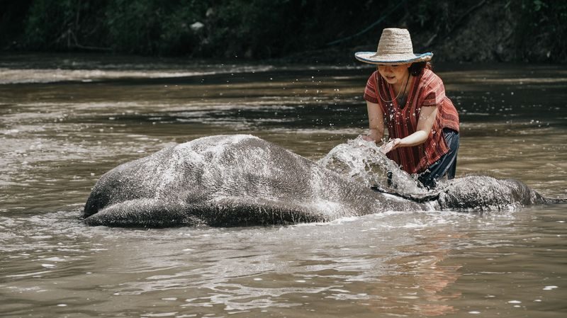 Maerim Elephant Home Chiang Mai - Timing, transport, and the real length of the outing