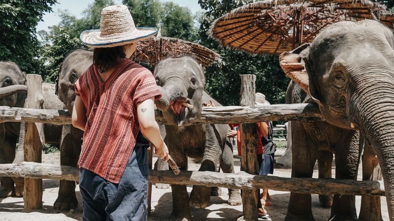 Maerim Elephant Home Chiang Mai - Clothes, showers, and the small practical details