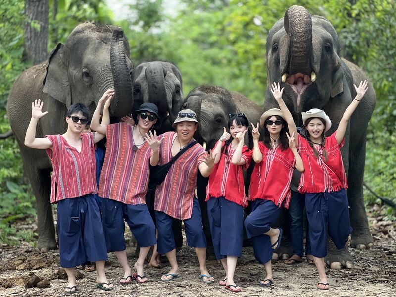 Maerim Elephant Home Chiang Mai - Who should choose Maerim Elephant Home?