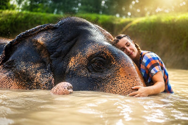Maerim Elephant Sanctuary Experience in Chiang Mai - Choosing between short, half-day, and full-day options